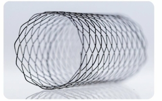Stents.jpg