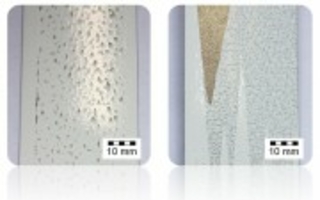 Bewertung von Zieh- und Schutzfolien für die Umformung von organisch bandbeschichteten Feinblechen